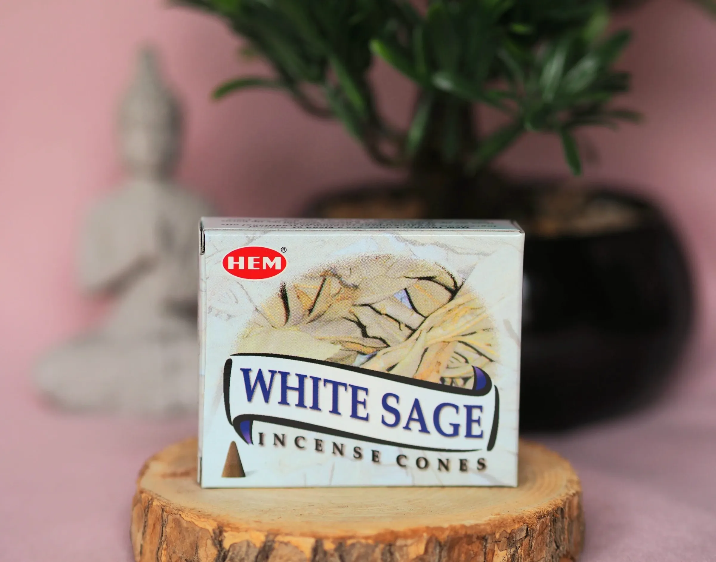 Cônes Sauge Blanche